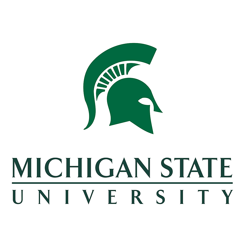 Link to Sponsor, MSU Computer Science and Engineering (CSE)